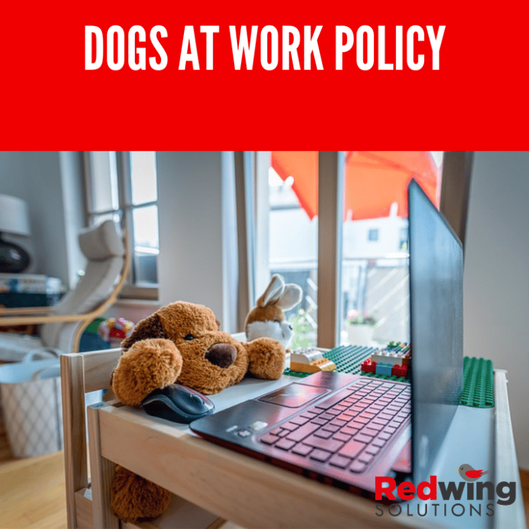 Dogs at work policy